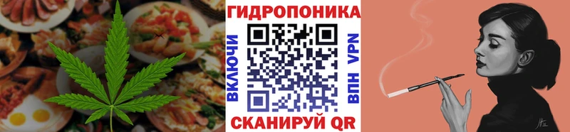 наркотики  Приморск  МЕГА как зайти  Cannafood конопля 