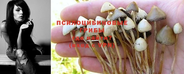 a pvp Алзамай