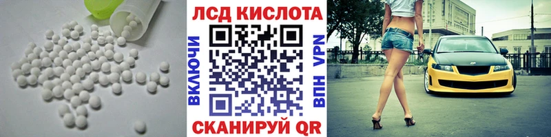 kraken ТОР  Приморск  ЛСД экстази ecstasy 