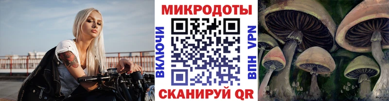купить наркотики цена mega ссылки Галлюциногенные грибы ЛСД Приморск