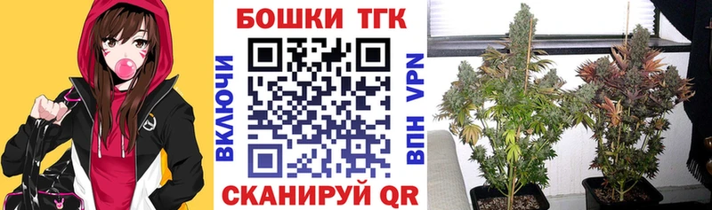Бошки марихуана OG Kush  Приморск 